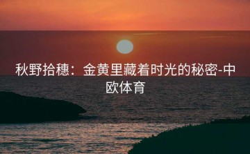 秋野拾穗：金黄里藏着时光的秘密-中欧体育
