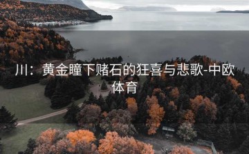 川：黄金瞳下赌石的狂喜与悲歌-中欧体育