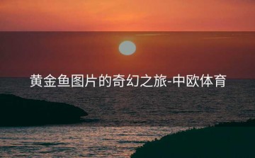 黄金鱼图片的奇幻之旅-中欧体育
