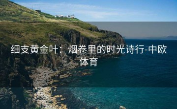 细支黄金叶：烟卷里的时光诗行-中欧体育
