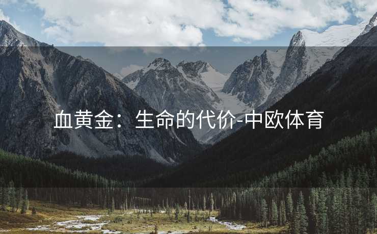 血黄金：生命的代价-中欧体育