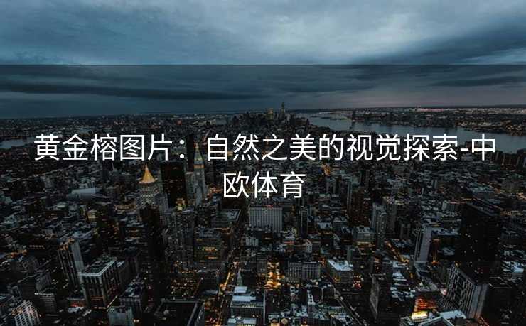 黄金榕图片：自然之美的视觉探索-中欧体育