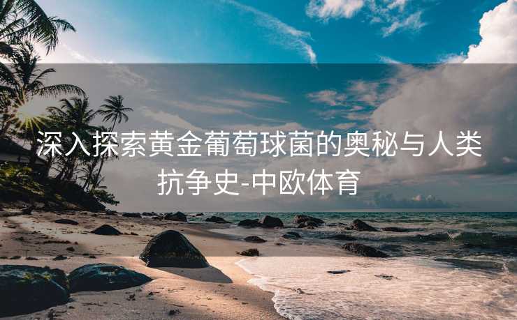 深入探索黄金葡萄球菌的奥秘与人类抗争史-中欧体育