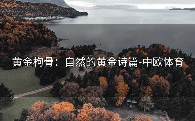 黄金枸骨：自然的黄金诗篇-中欧体育