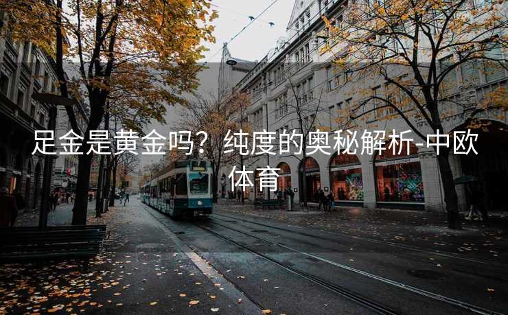 足金是黄金吗？纯度的奥秘解析-中欧体育