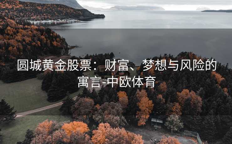 圆城黄金股票：财富、梦想与风险的寓言-中欧体育