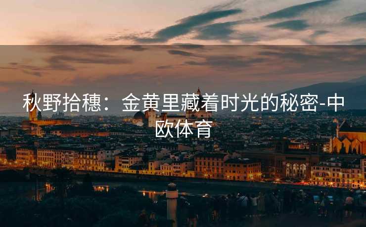 秋野拾穗：金黄里藏着时光的秘密-中欧体育