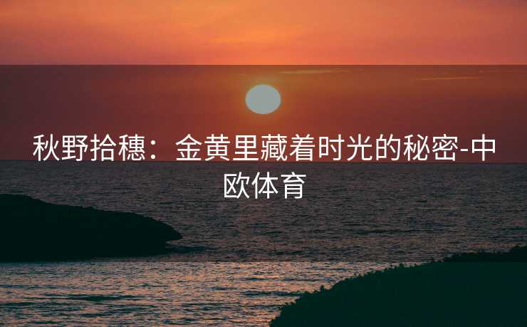 秋野拾穗：金黄里藏着时光的秘密-中欧体育