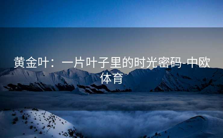 黄金叶：一片叶子里的时光密码-中欧体育