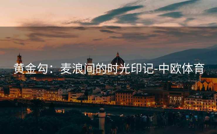 黄金勾：麦浪间的时光印记-中欧体育