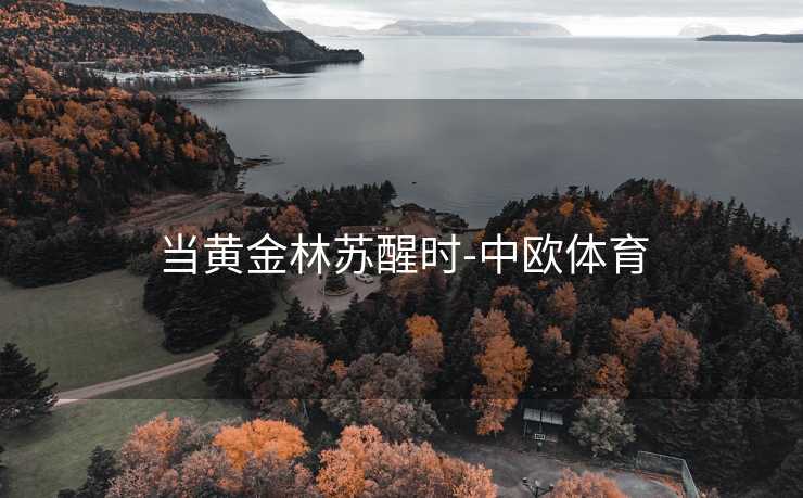 当黄金林苏醒时-中欧体育
