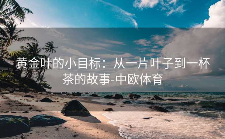 黄金叶的小目标：从一片叶子到一杯茶的故事-中欧体育