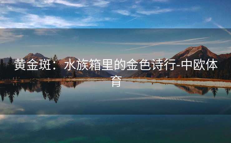 黄金斑：水族箱里的金色诗行-中欧体育