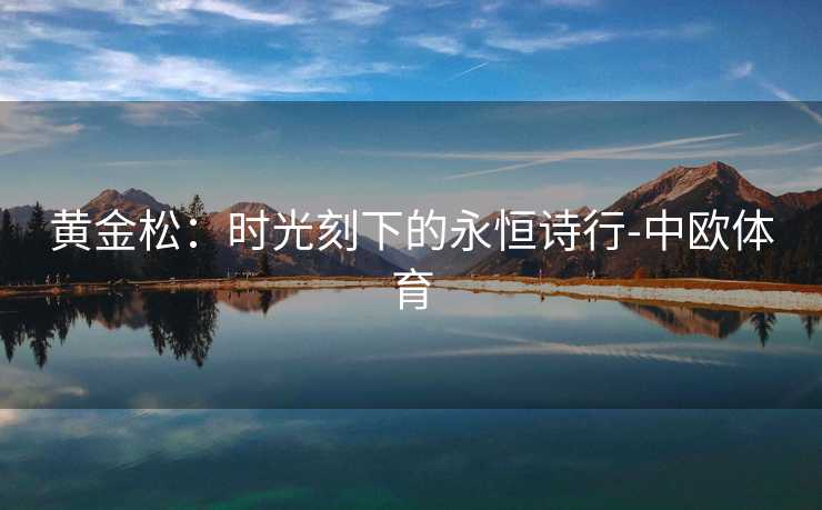 黄金松：时光刻下的永恒诗行-中欧体育