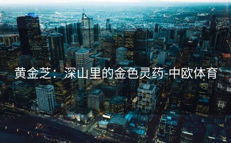 黄金芝：深山里的金色灵药-中欧体育